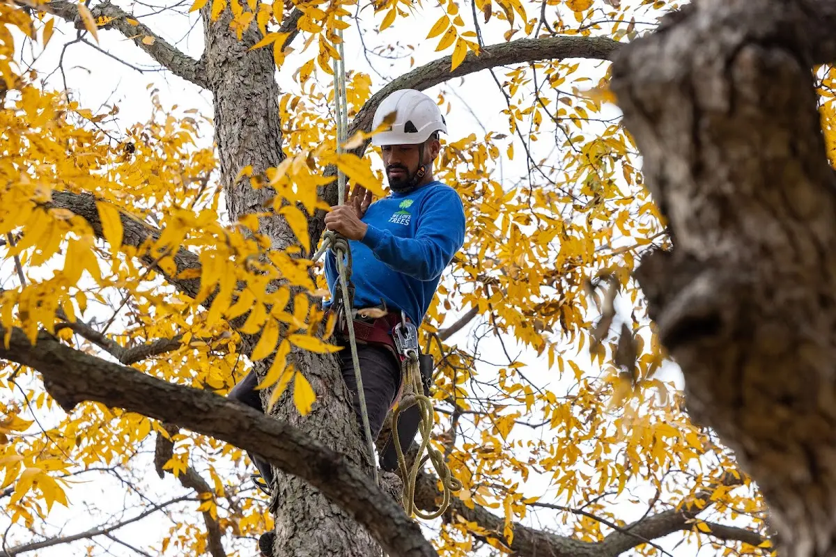 Skilled Storm Damage Cleanup crew working in Garrison