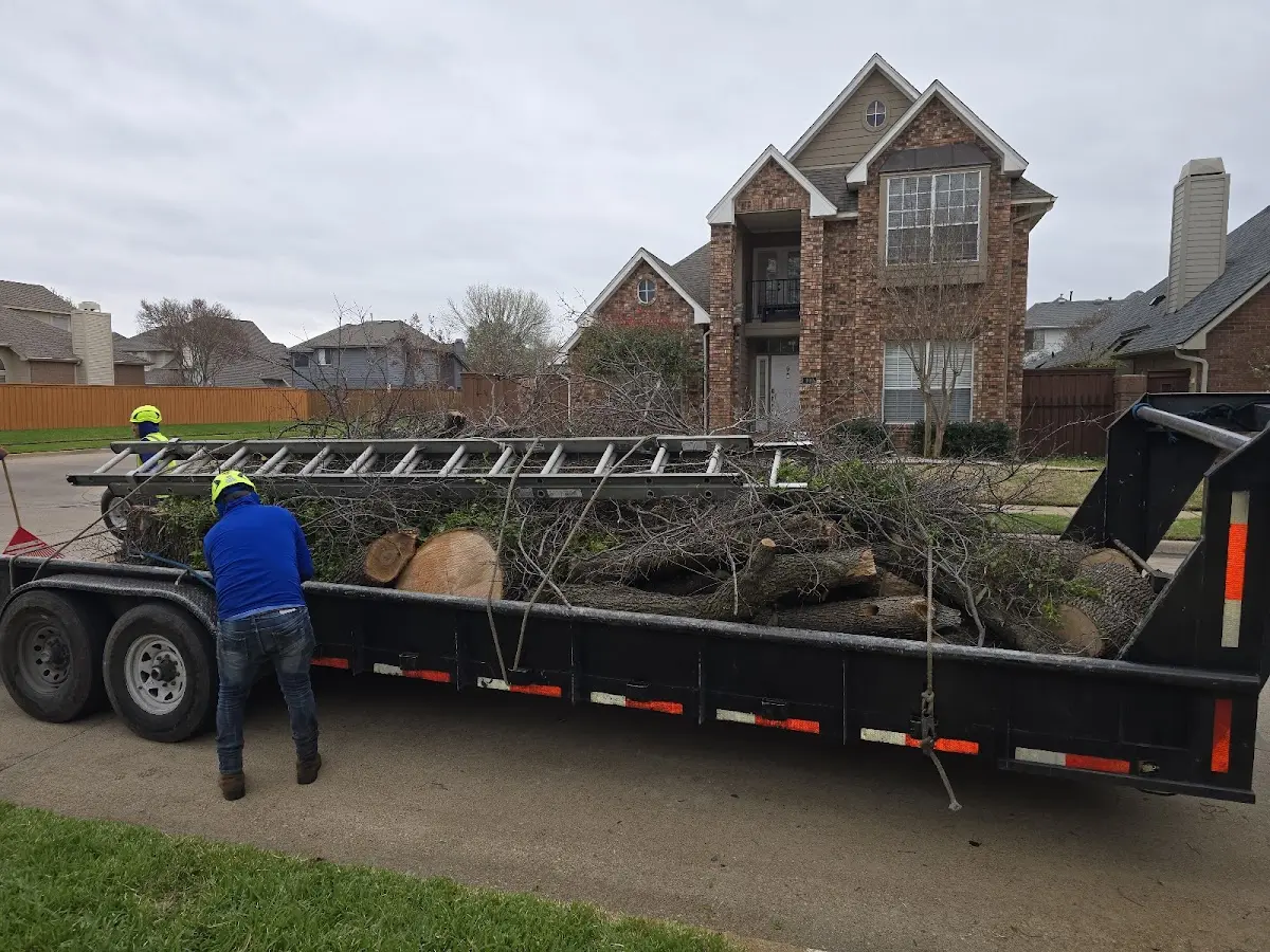 Expert Tree Pest Control with proper safety equipment in Garrison